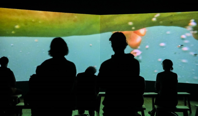 The  dark silhouettes of multiple people are pictured from behind as they watch an under-water film installation.